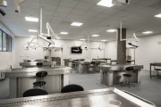 Pitevny (Ústav anatomie) / Dissection rooms (Department of Anatomy)