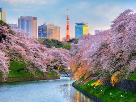Tokio na jaře