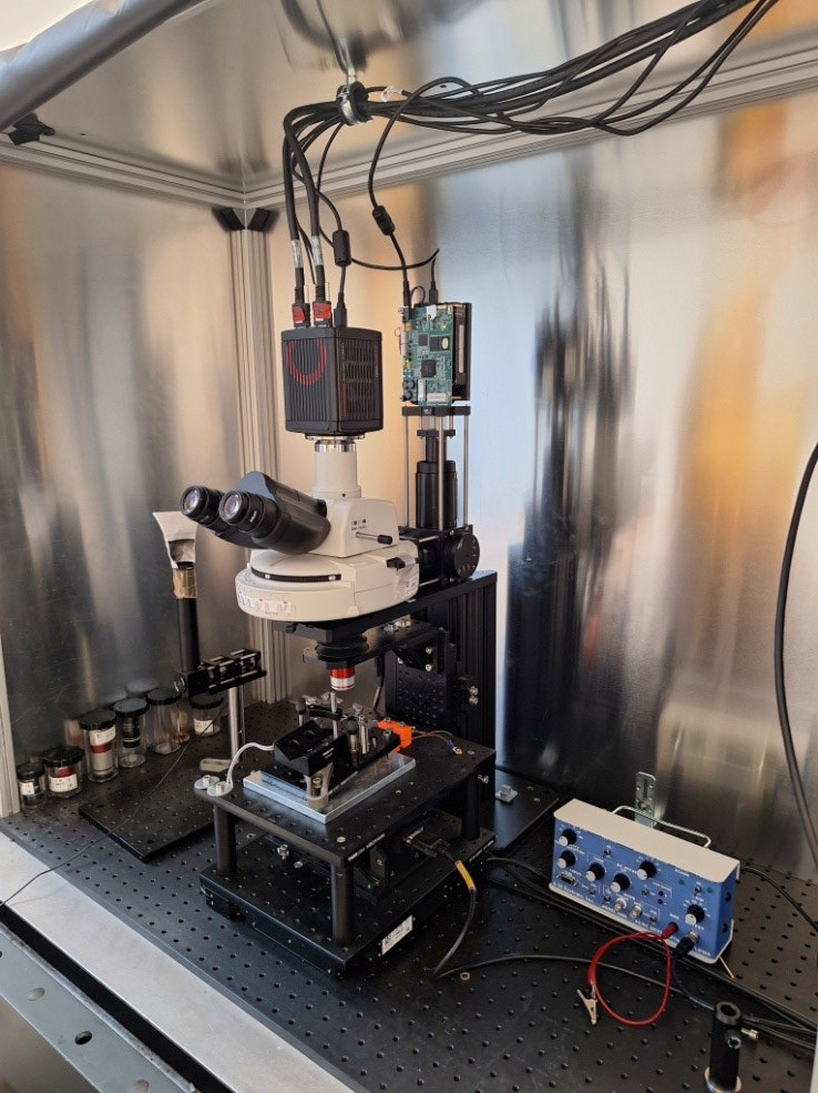 In-house built two-photon microscope with tunable femtosecond Coherent Discovery Laser