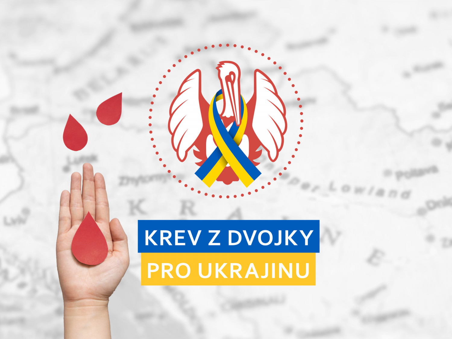 Kde darovat krev pro Ukrajinu?