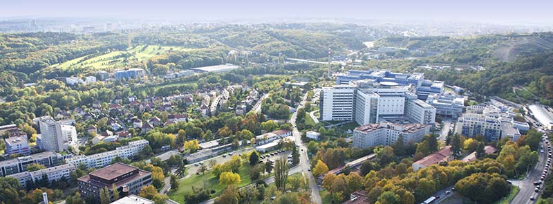 Entrance Examination Second Faculty Of Medicine Charles University