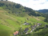 schwarzwaldske_kopecky_v_munstertalu_schwarzwald.jpg (383.74 KB)