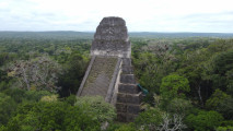 Tikal