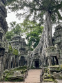 Angkor Vat – Ta Phrom temple v Kambodži