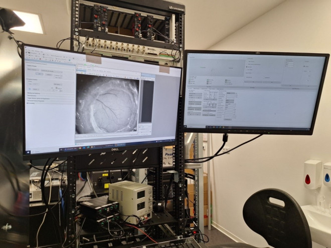 Intravitální kHz fluorescenční mikroskop se strukturovanou DMD excitací