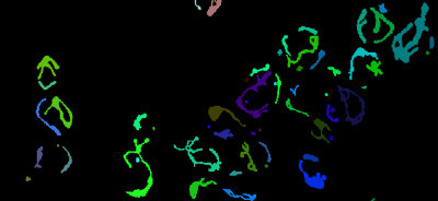 Processing and analysis of microscopic images in biomedicine (PAMIB24)