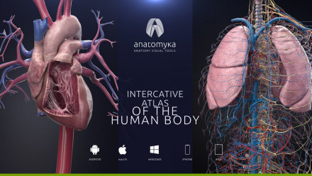 3D anatomický atlas Anatomyka