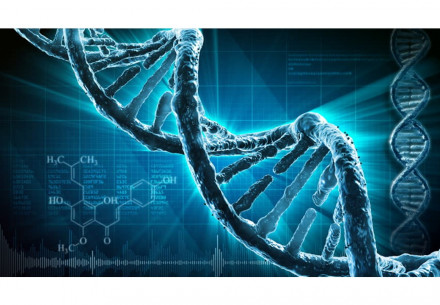 Molekulárně-genetické vyšetření rodin s výskytem hereditárních arytmických syndromů 